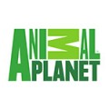 Animal Planet