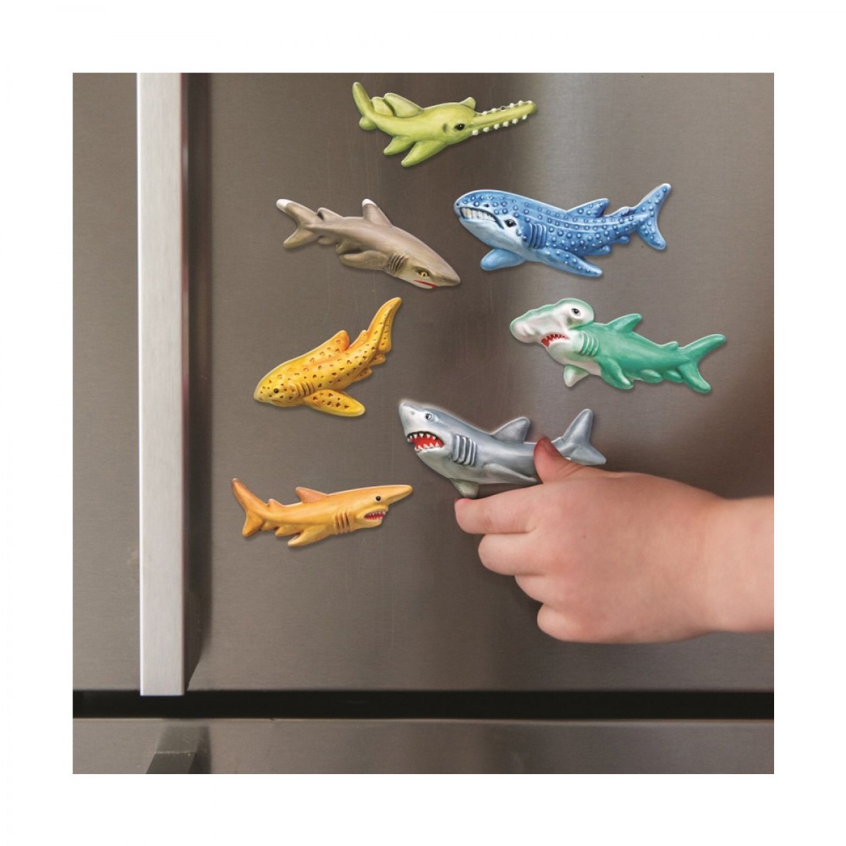 4M ΚΑΤΑΣΚΕΥΗ ΚΑΡΧΑΡΙΕΣ ΜΑΓΝΗΤΑΚΙΑ 4785