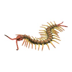 COLLECTA ΣΑΡΑΝΤΑΠΟΔΑΡΟΥΣΑ 88885 (L) COLLECTA ΣΑΡΑΝΤΑΠΟΔΑΡΟΥΣΑ 88885 (L)