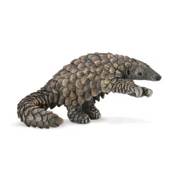 COLLECTA L ΠΑΓΚΟΛΙΝΟΣ 88995 COLLECTA L ΠΑΓΚΟΛΙΝΟΣ 88995