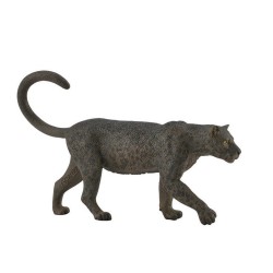 COLLECTA ΠΑΝΘΗΡΑΣ 88890