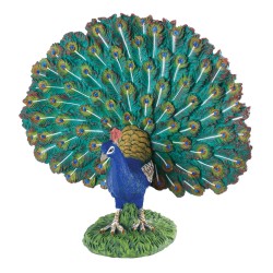 COLLECTA ΠΑΓΩΝΙ 88209 (L)