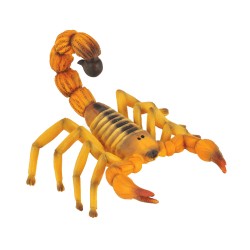 COLLECTA ΚΙΤΡΙΝΟΣ ΣΚΟΡΠΙΟΣ 88349 (M) COLLECTA ΚΙΤΡΙΝΟΣ ΣΚΟΡΠΙΟΣ 88349 (M)
