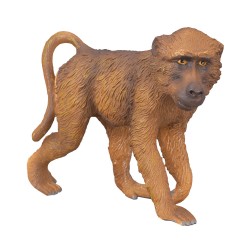 COLLECTA ΜΠΑΜΠΟΥΙΝΟΣ ΑΡΣΕΝΙΚΟΣ 88204 COLLECTA ΜΠΑΜΠΟΥΙΝΟΣ ΑΡΣΕΝΙΚΟΣ 88204