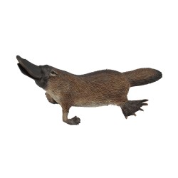 COLLECTA ΠΛΑΤΥΠΟΔΑΣ 88795 COLLECTA ΠΛΑΤΥΠΟΔΑΣ 88795