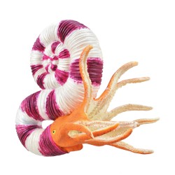 COLLECTA ΠΡΑΒΙΤΟΚΕΡΑΣ 88927 COLLECTA ΠΡΑΒΙΤΟΚΕΡΑΣ 88927
