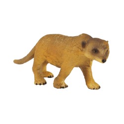 COLLECTA ΣΟΥΡΙΚΑΤΑ ΠΟΥ ΠΕΡΠΑΤΑΕΙ 88218 COLLECTA ΣΟΥΡΙΚΑΤΑ ΠΟΥ ΠΕΡΠΑΤΑΕΙ 88218