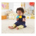FISHER PRICE ΜΕΛΙΣΣΟΥΛΑ/ΦΥΛΛΑΡΑΚΙ DTH49 FISHER PRICE ΜΕΛΙΣΣΟΥΛΑ/ΦΥΛΛΑΡΑΚΙ DTH49