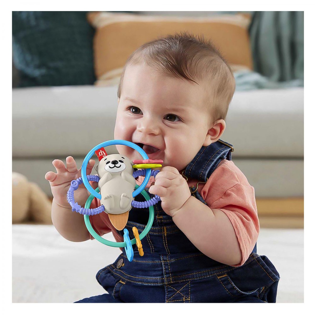 FISHER PRICE ΠΑΙΧΝΙΔΙ ΟΔΟΝΤΟΦΥΙΑΣ ΒΙΔΡΑ HJW12 FISHER PRICE ΠΑΙΧΝΙΔΙ ΟΔΟΝΤΟΦΥΙΑΣ ΒΙΔΡΑ HJW12