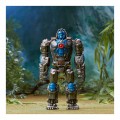 HASBRO TRANSFORMERS RISE OF THE BEASTS OPTIMUS PRIMAL/SKULLCRUNCHER F3898/F4619 HASBRO TRANSFORMERS RISE OF THE BEASTS OPTIMUS PRIMAL/SKULLCRUNCHER F3898/F4619