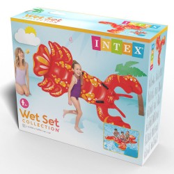 INTEX ΦΟΥΣΚΩΤΟ ΑΣΤΑΚΟΣ 213CM 57528