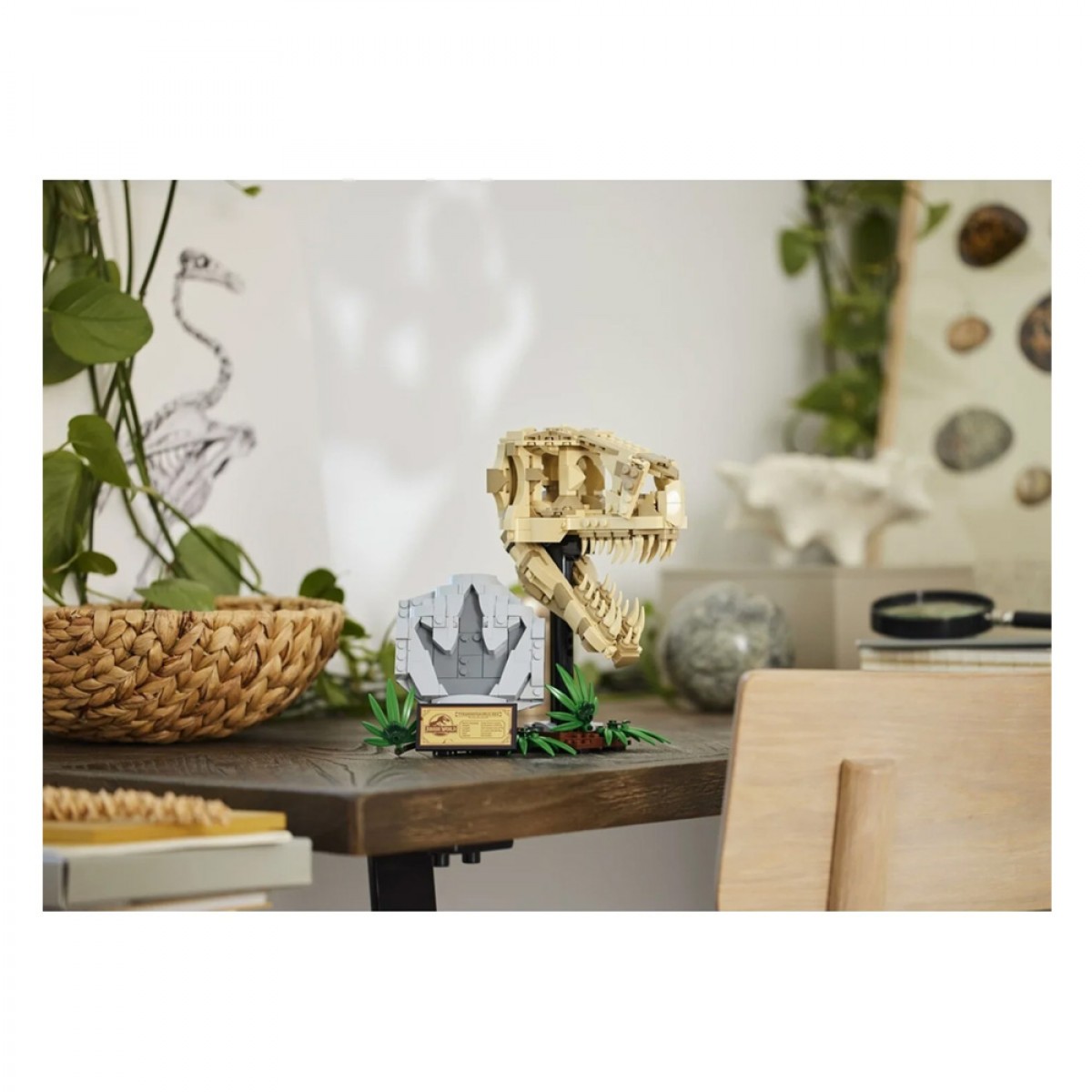 LEGO DINOSAUR FOSSILS: T.REX SKULL 76964