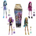 MATTEL MONSTER HIGH BURIED SECRETS HYV64