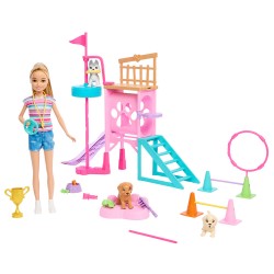 MATTEL BARBIE STACIE ΕΚΠΑΙΔΕΥΣΗ ΚΟΥΤΑΒΙΩΝ HRM10