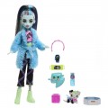 MATTEL MONSTER HIGH CREEPOVER - FRANKIE STEIN HKY68