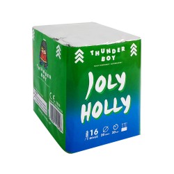THUNDER BOY ΠΑΚΕΤΟ JOLLY HOLLY 16 ΒΟΛΕΣ YT2208 THUNDER BOY ΠΑΚΕΤΟ JOLLY HOLLY 16 ΒΟΛΕΣ YT2208