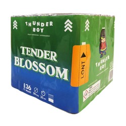 THUNDER BOY ΠΑΚΕΤΟ ΕΝΑΕΡΙΩΝ ΠΥΡΟΤΕΧΝΗΜΑΤΩΝ TENDER BLOSSOM YT-2216 (36 ΒΟΛΩΝ) THUNDER BOY ΠΑΚΕΤΟ ΕΝΑΕΡΙΩΝ ΠΥΡΟΤΕΧΝΗΜΑΤΩΝ TENDER BLOSSOM YT-2216 (36 ΒΟΛΩΝ)