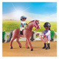 PLAYMOBIL ΣΤΑΒΛΟΣ ΑΛΟΓΩΝ 71238