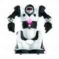 ΙΔΈΑ MINI RC ROBOSAPIEN 3885 ΙΔΈΑ MINI RC ROBOSAPIEN 3885