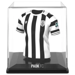 --- FANCOLLEX MYJERSEY: PAOK (HOME 25/26) 53MY00013