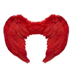 --- ΦΤΕΡΑ ΚΟΚΚΙΝΑ ΔΙΑΒΟΛΟΥ ΦΤ0098