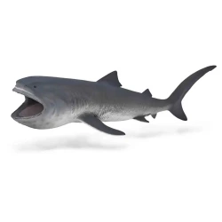 COLLECTA XL ΜΕΓΑΛΟΣΤΟΜΟΣ ΚΑΡΧΑΡΙΑΣ 80046