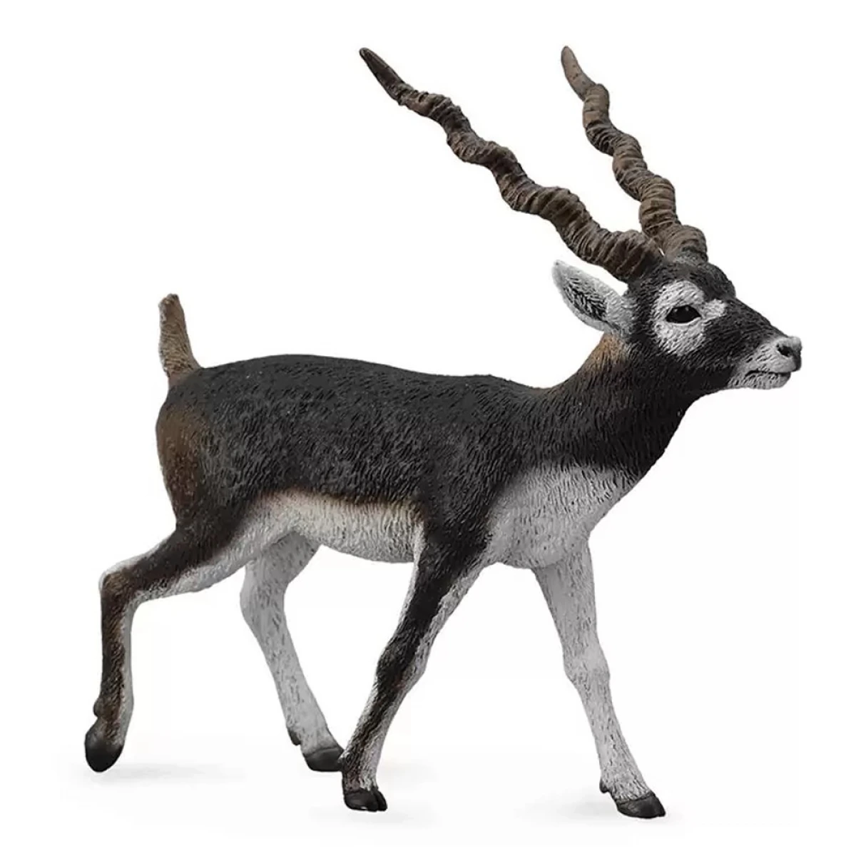 COLLECTA L ΙΝΔΙΚΗ ΑΝΤΙΛΟΠΗ 88638