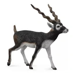 COLLECTA L ΙΝΔΙΚΗ ΑΝΤΙΛΟΠΗ 88638