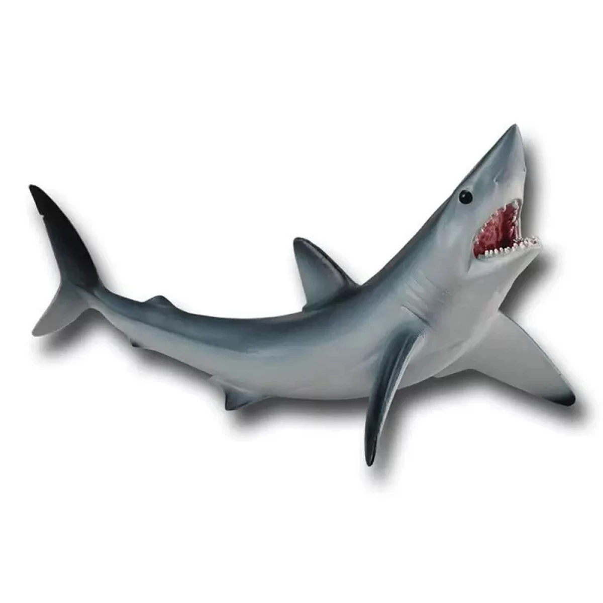 COLLECTA Μ ΡΥΓΧΟΚΑΡΧΑΡΙΑΣ 88679
