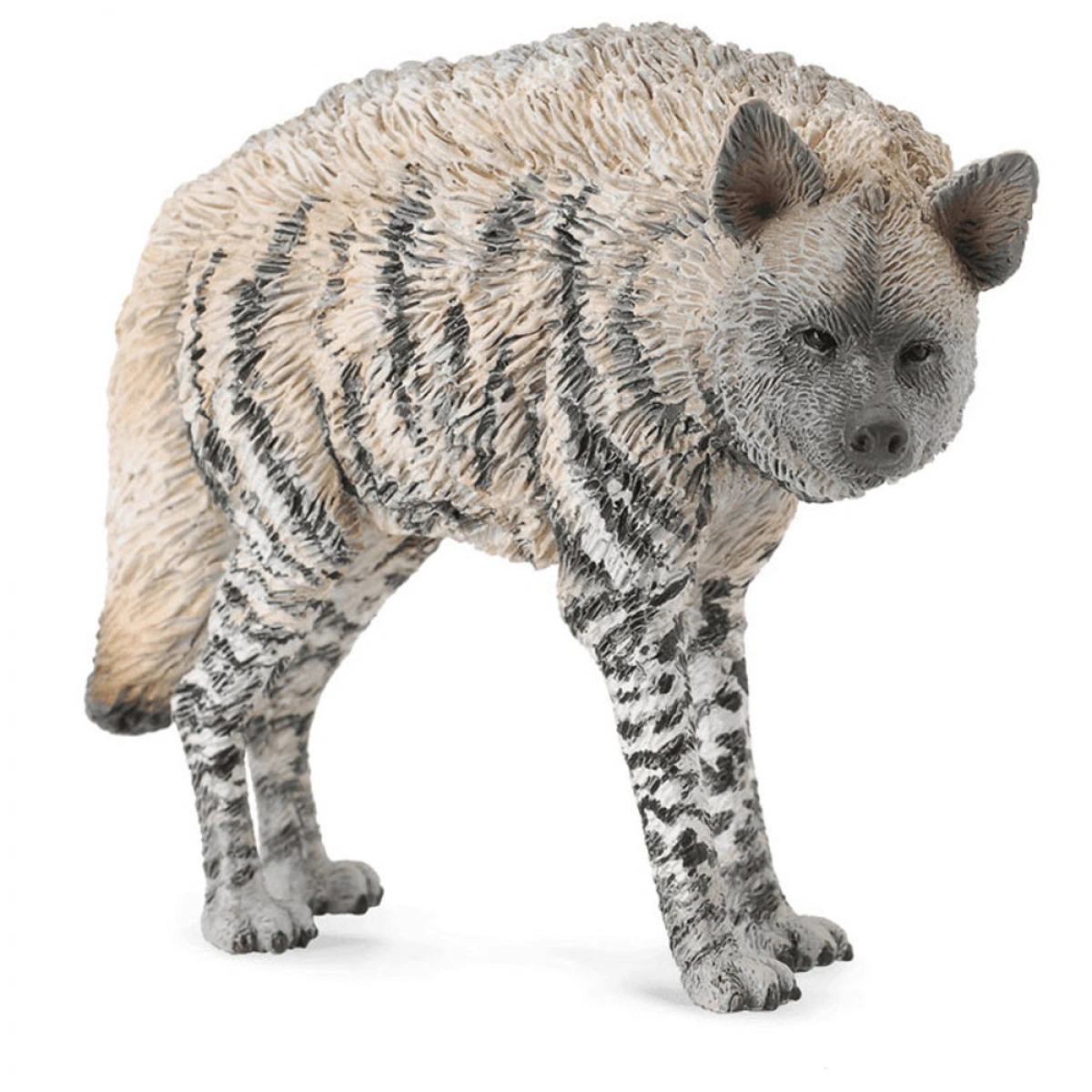 COLLECTA Μ ΡΑΒΔΩΤΗ ΥΑΙΝΑ 88566