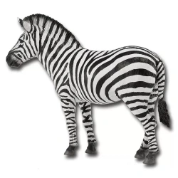 COLLECTA ΖΕΒΡΑ 88830