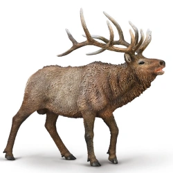 COLLECTA XL ΑΛΚΗ 80021