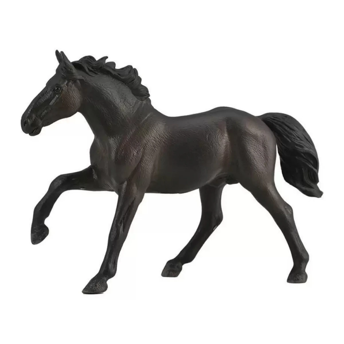 COLLECTA XL ΝΟΝΙΟΥΣ ΕΠΙΒΗΤΟΡΑΣ 88878