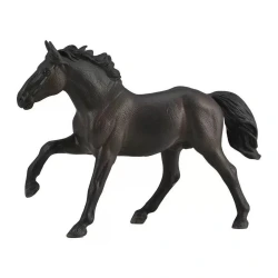 COLLECTA XL ΝΟΝΙΟΥΣ ΕΠΙΒΗΤΟΡΑΣ 88878