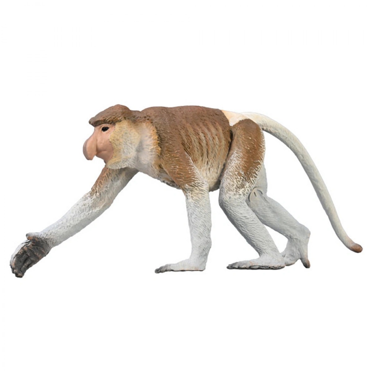 COLLECTA L ΠΡΟΒΟΣΚΙΔΩΤΗ ΜΑΙΜΟΥ 80014