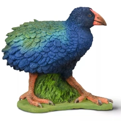 COLLECTA Μ  ΝΟΤΟΡΝΙΘΑ 80041