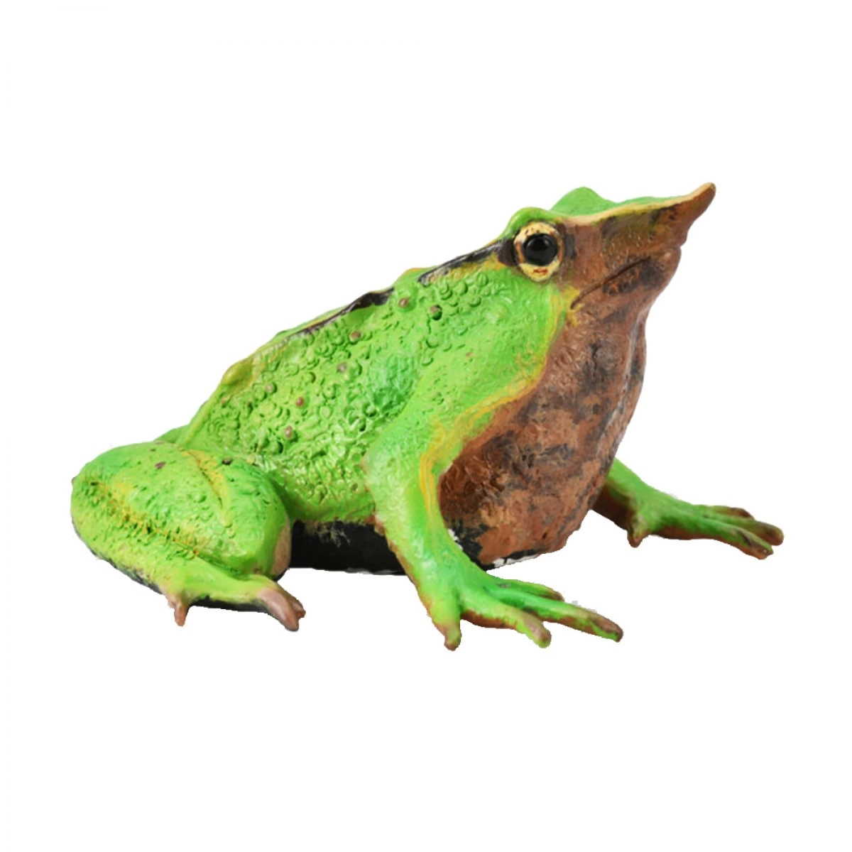 COLLECTA M DARWIN'S FROG 88938