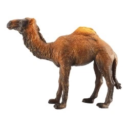 COLLECTA L ΔΡΟΜΑΔΑ ΚΑΜΗΛΑ 88208