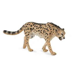 COLLECTA ΒΑΣΙΛΙΚΟ ΤΣΙΤΑΧ 88608
