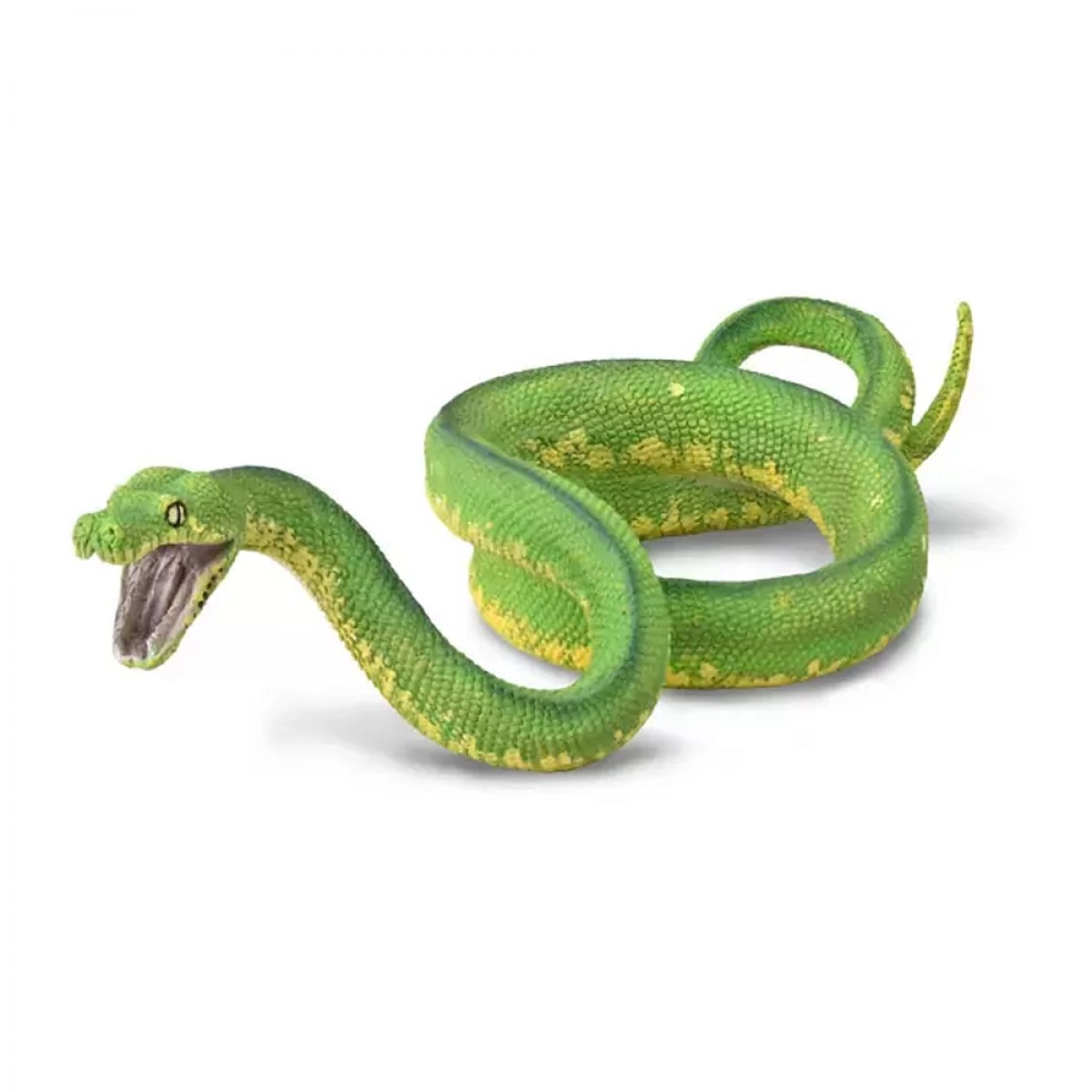 COLLECTA L ΠΡΑΣΙΝΟΣ ΔΕΝΔΡΟΒΙΟΣ ΠΥΘΩΝΑΣ 88962