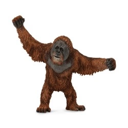 COLLECTA L ΟΥΡΑΚΟΤΑΓΚΟΣ 88730