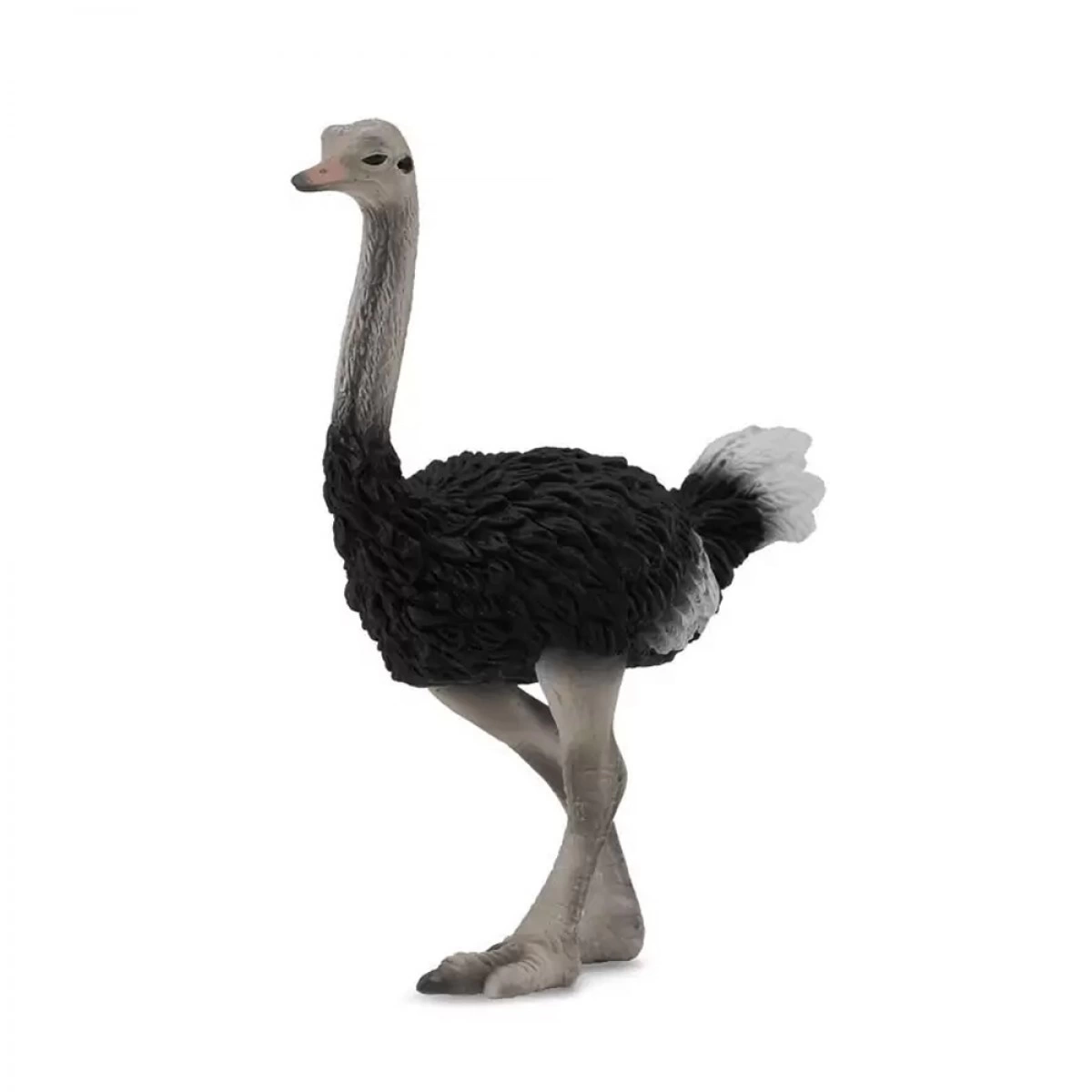 COLLECTA OSTRICH 88459