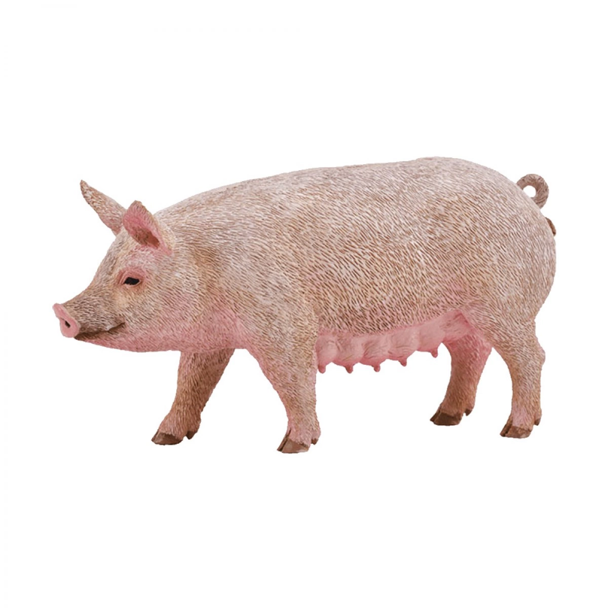 COLLECTA M SOW 88863