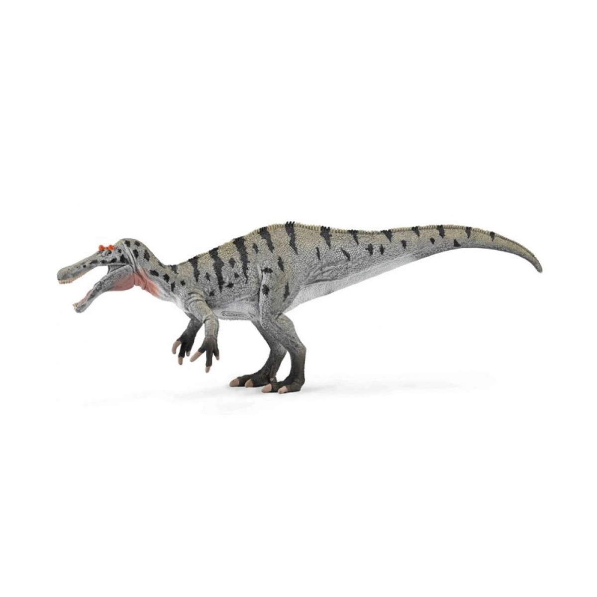 COLLECTA XL ΚΕΡΑΤΟΣΟΥΧΟΠΑΣ ΠΟΥ ΚΥΝΗΓΑΕΙ  ΨΑΡΙΑ 88972