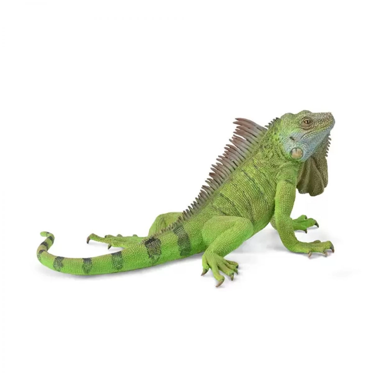 COLLECTA XL GREEN IGUANA 88965