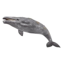COLLECTA ΒΟΡΕΙΑ ΡΥΓΧΟΦΑΛΑΙΝΑ 88862 X-LARGE
