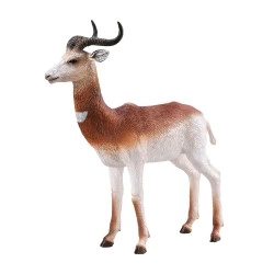 COLLECTA ΓΑΖΕΛΑ ΝΤΑΜΑ 88865
