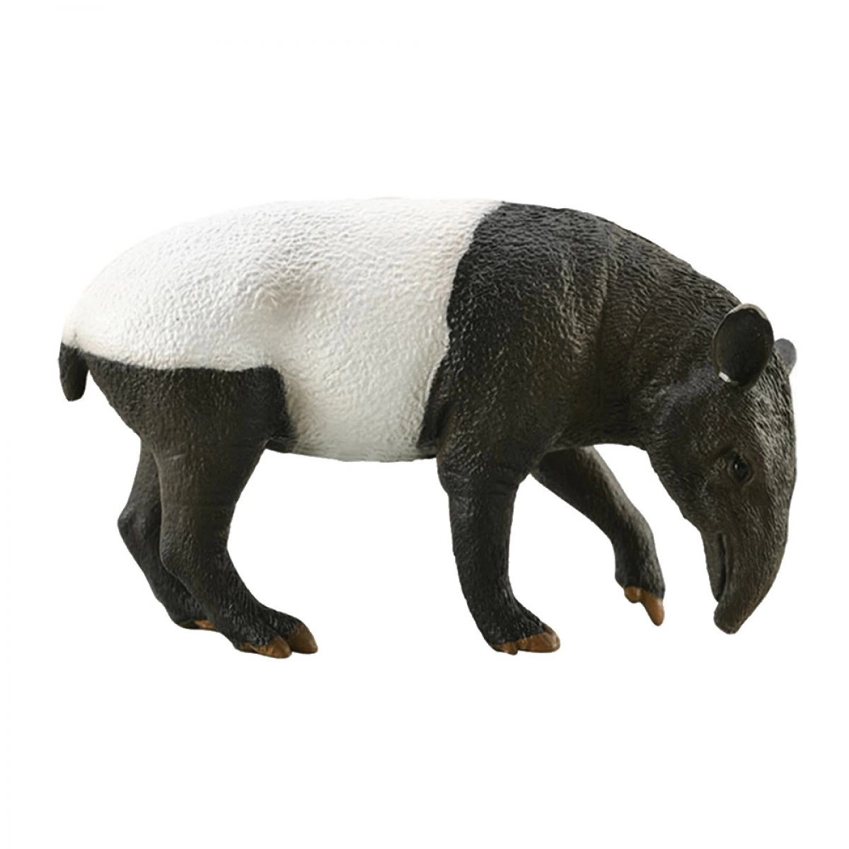 COLLECTA ΜΑΛΑΙΣΙΑΝΟΣ ΤΑΠΙΡΟΣ 88881