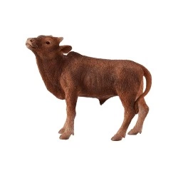 COLLECTA ΜΟΣΧΑΡΙ ΑΝΚΟΛΕ ΓΟΥΑΤΟΥΣΙ 88650