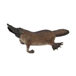 COLLECTA ΠΛΑΤΥΠΟΔΑΣ 88795